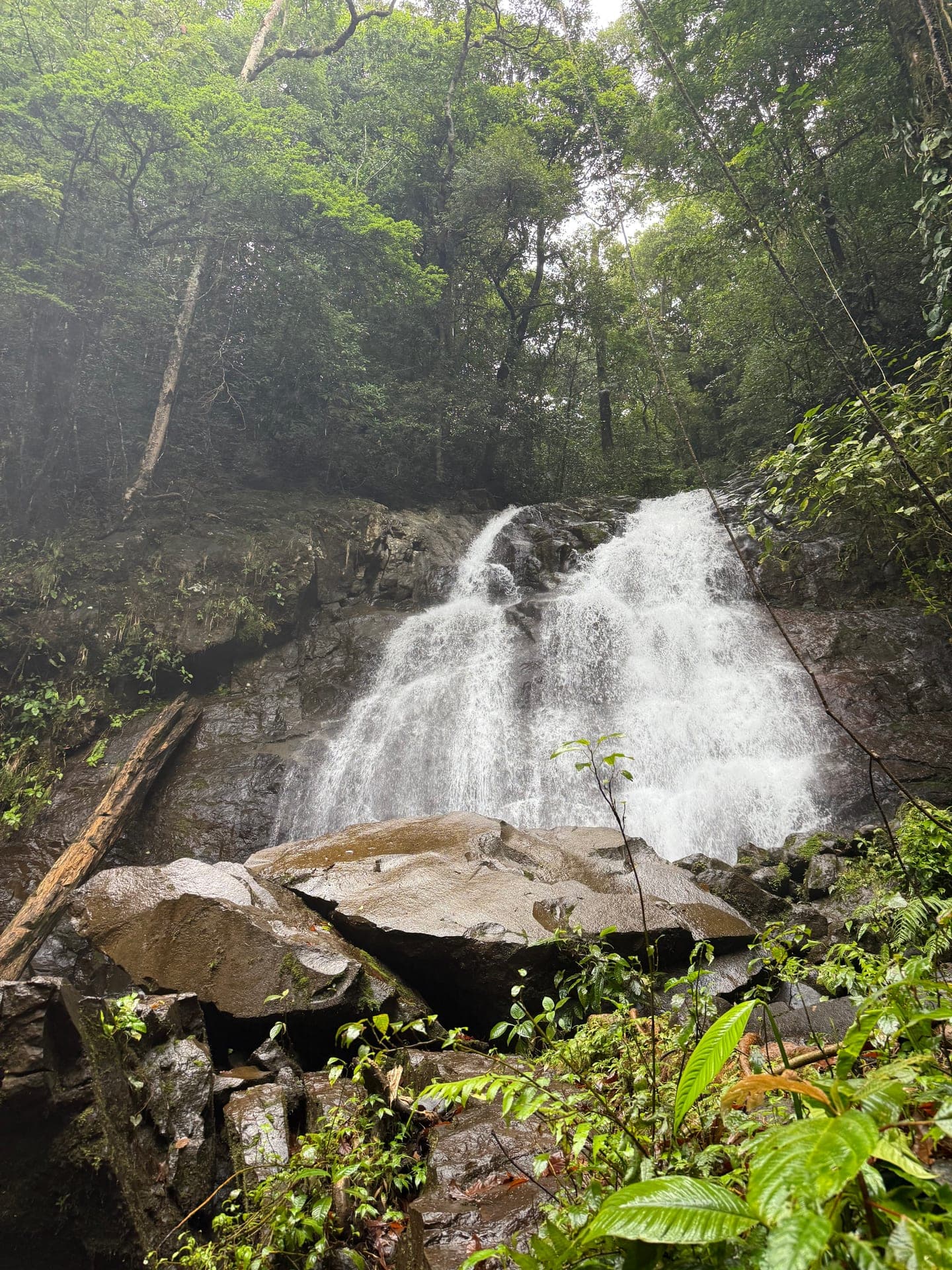 Hidden Falls & Wildlife — Arenal · Northern Lowlands