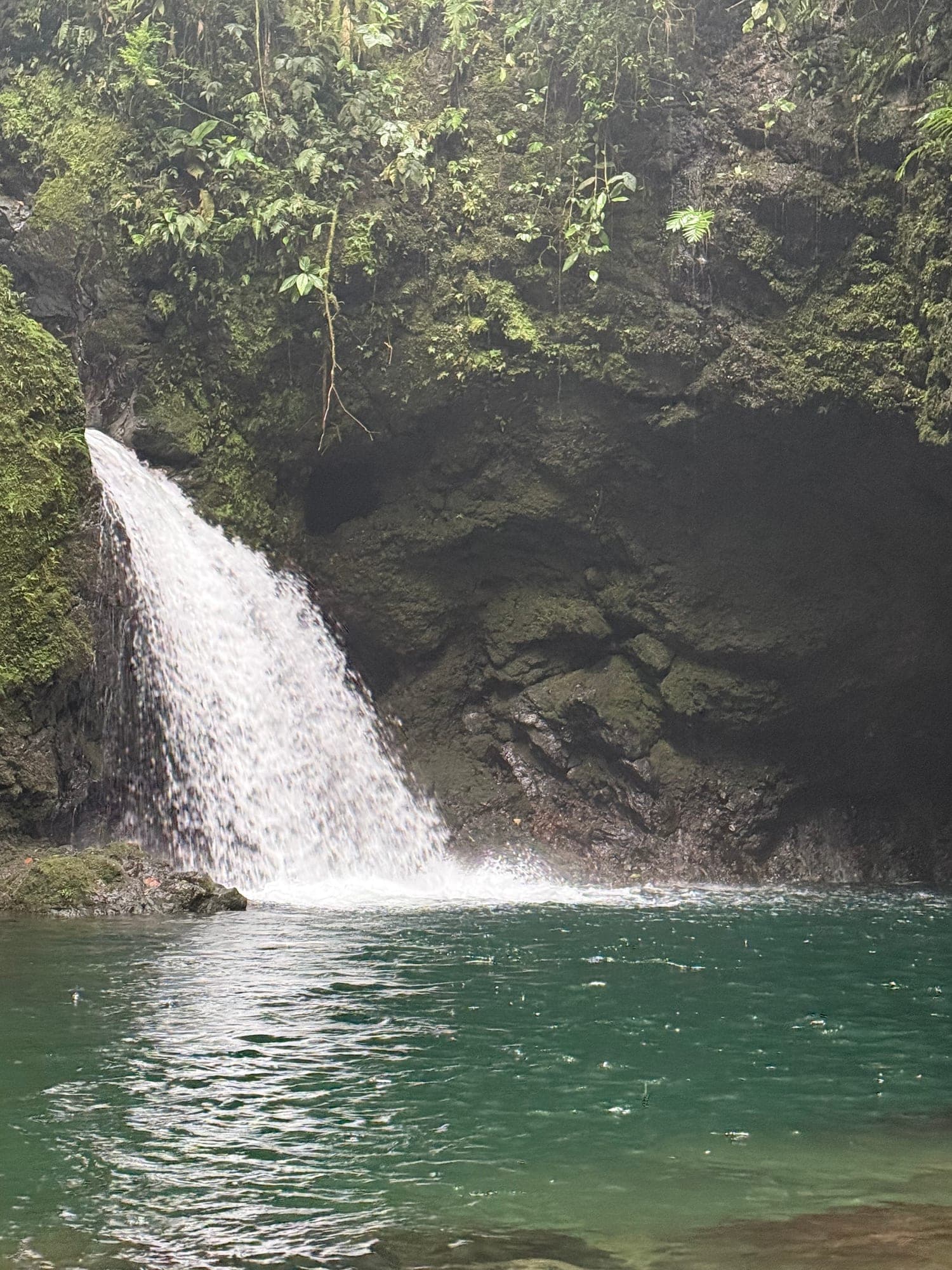Hidden Falls & Wildlife — Arenal · Northern Lowlands