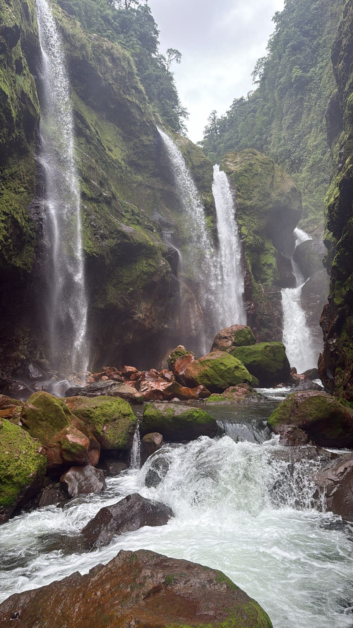 Jurassic Canyon — Arenal · Northern Lowlands