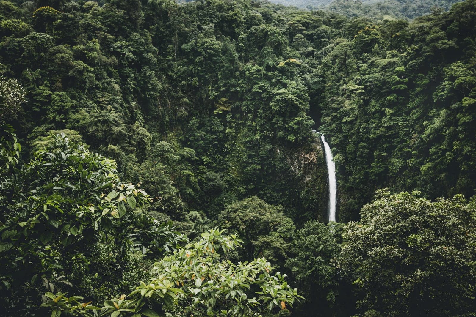 La Fortuna Waterfall falling through deep rainforest near Arenal, Costa Rica