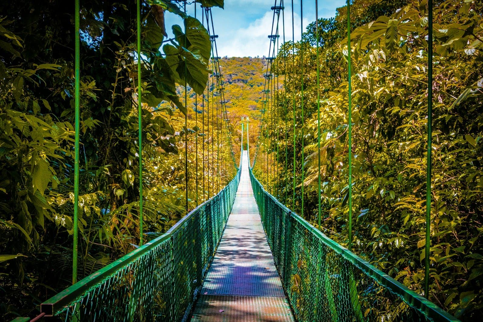 Monteverde Cloud Forest: the Quiet Way