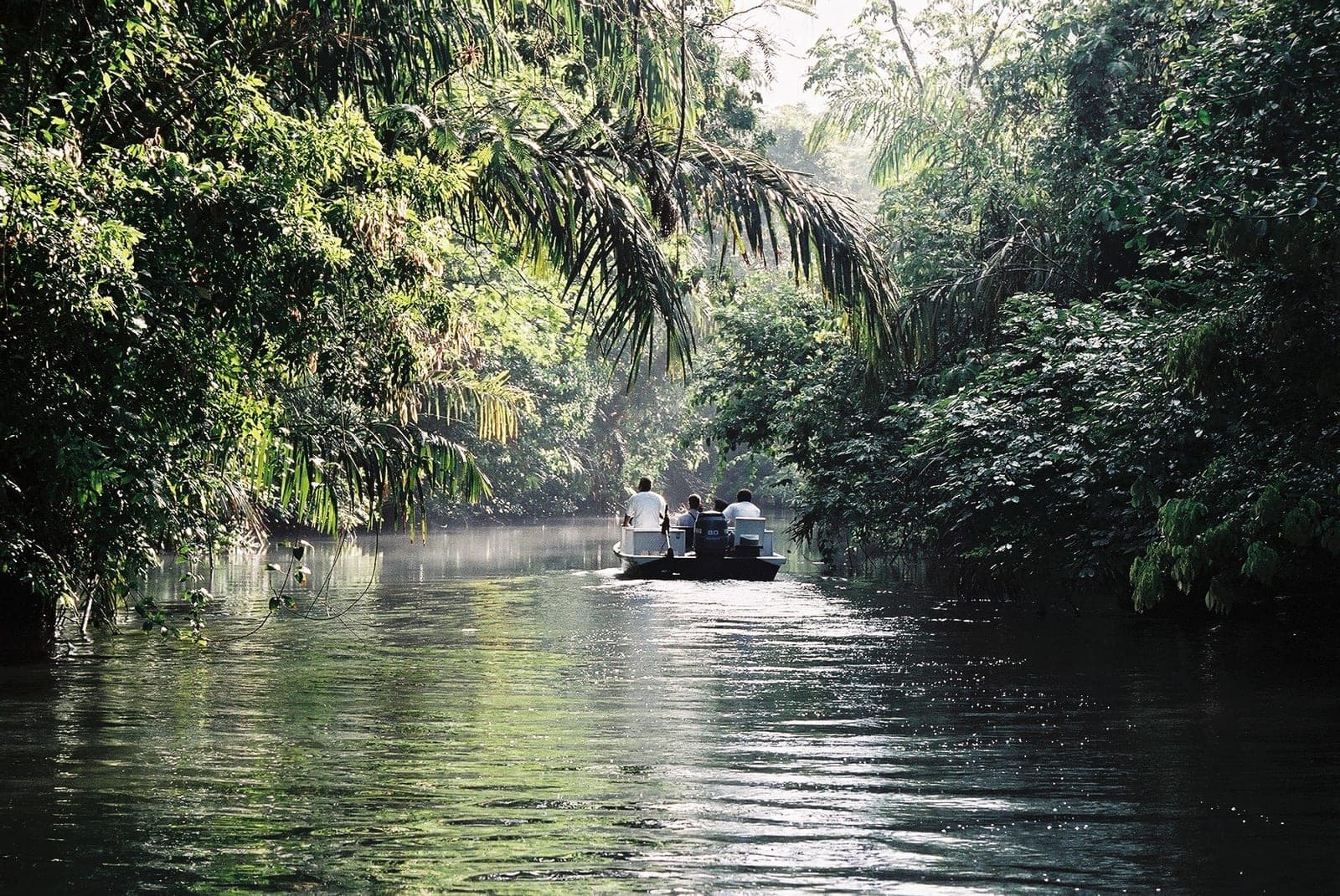 Tortuguero: the Costa Rica You Reach Only by Boat